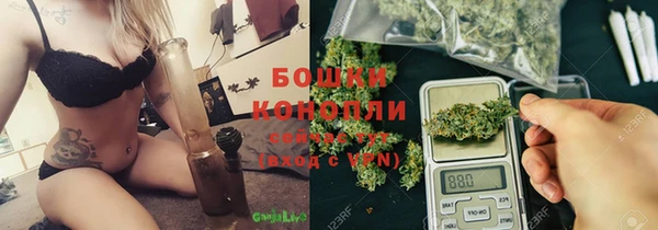 молекула духа Бородино