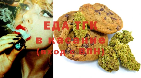 мдпв Богородицк