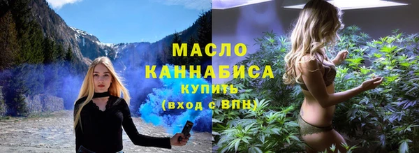 молекула духа Бородино