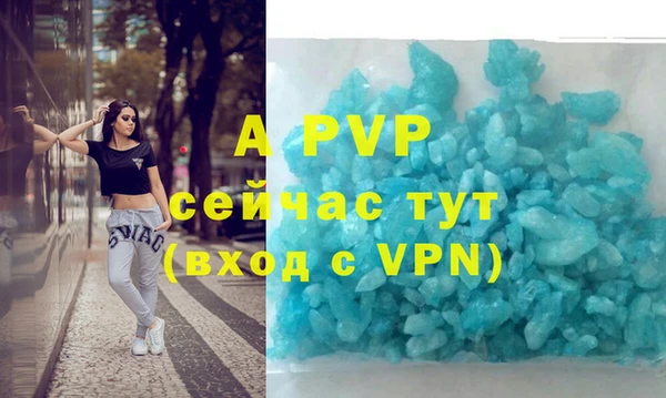 молекула духа Бородино
