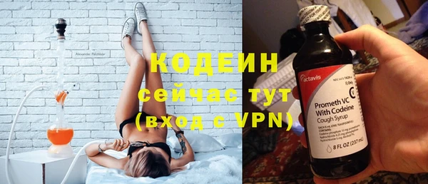молекула духа Бородино