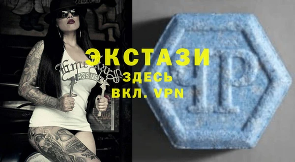 мдпв Богородицк
