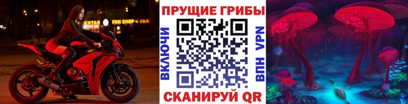 Галлюциногенные грибы прущие грибы Обь