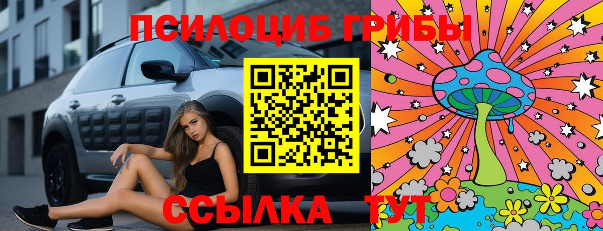 Галлюциногенные грибы Psilocybe Обь