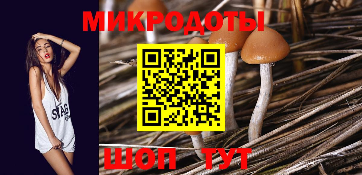 Обь  Галлюциногенные грибы GOLDEN TEACHER  наркотики  Вход с VPN 